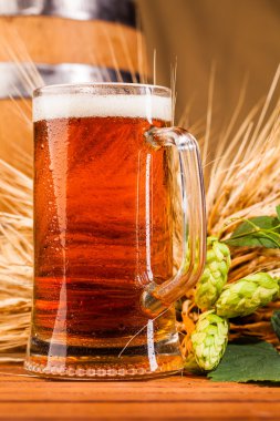 Bardak light bira ve sivri arpa