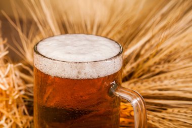 Bardak light bira ve sivri arpa