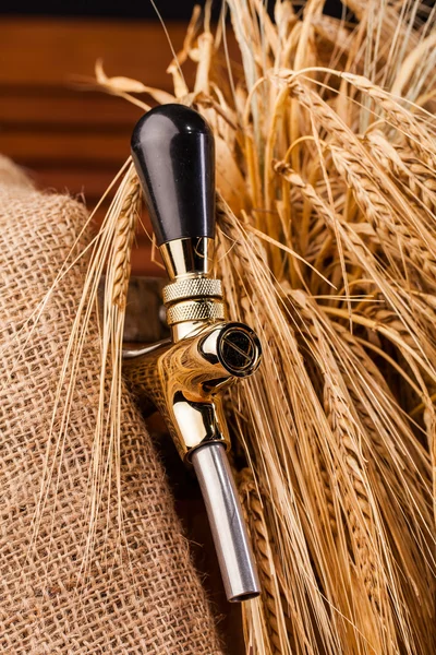 Beer tap and spikes of barley — Stock Photo, Image