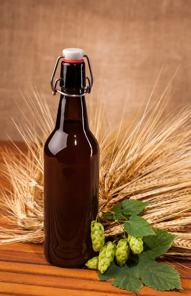 Beer bottle and spikes of barley — Stock Photo, Image