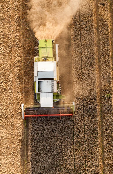 Aerial view of combine on  the harvest field — Stock Photo, Image