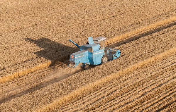 Luchtfoto van combineren op het gebied van de oogst — Stockfoto
