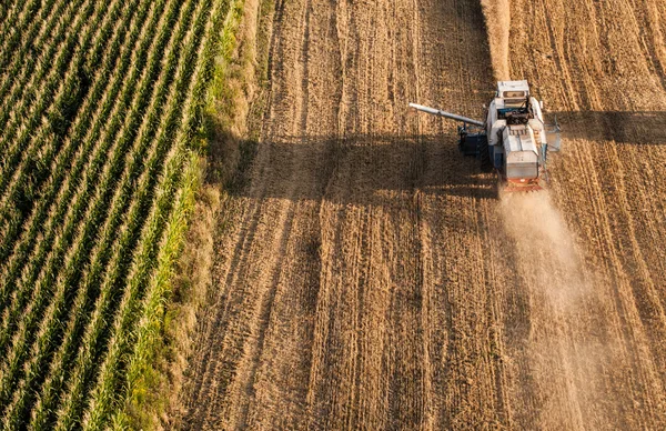 Vista aerea di combinare sul campo di raccolta — Foto Stock