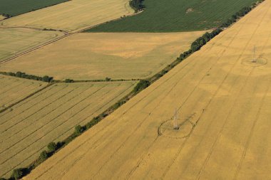 hasat alanlarının havadan görünümü