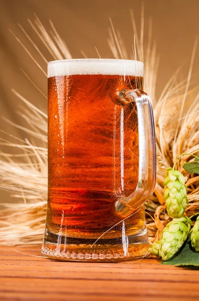 Glas leichtes Bier und Ähren von Gerste — Stockfoto