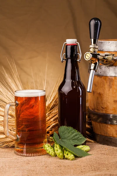 Склянка легкого пива і шипів ячменю — стокове фото