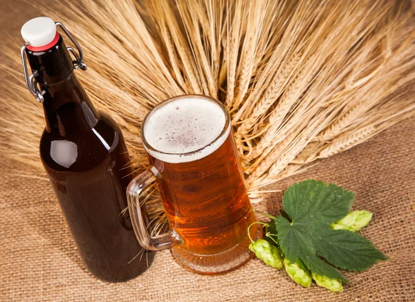 Glass of light beer and spikes of barley — Stock Photo, Image