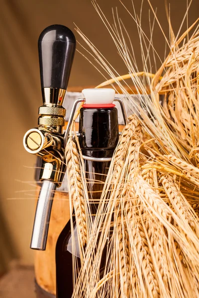 Bottle of light beer and spikes of barley — Stock Photo, Image