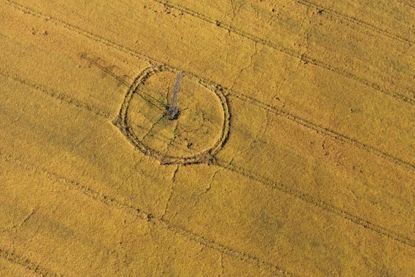 Vista aerea dei campi di raccolta — Foto Stock