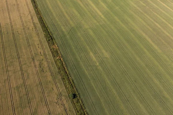 Vista aérea dos campos de colheita — Fotografia de Stock