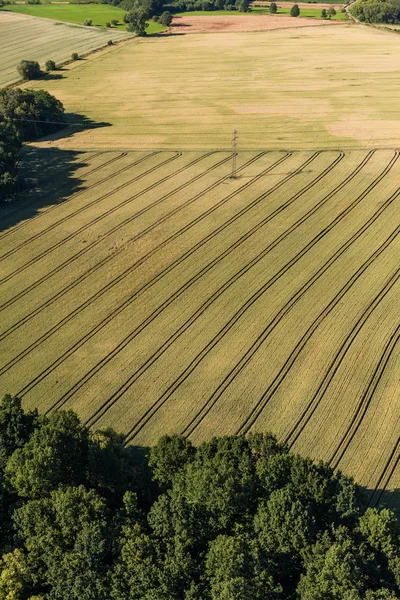 Vista aérea de los campos de cosecha verde — Foto de Stock