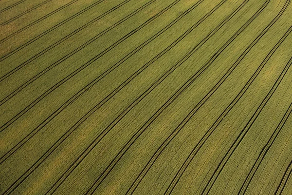 Aerial view of green harvest field — Stock Photo, Image