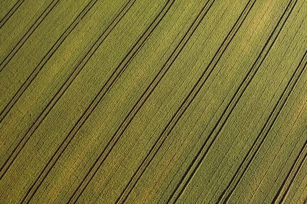 Αεροφωτογραφία του πεδίου συγκομιδή με οικολογικό τρόπο — Φωτογραφία Αρχείου