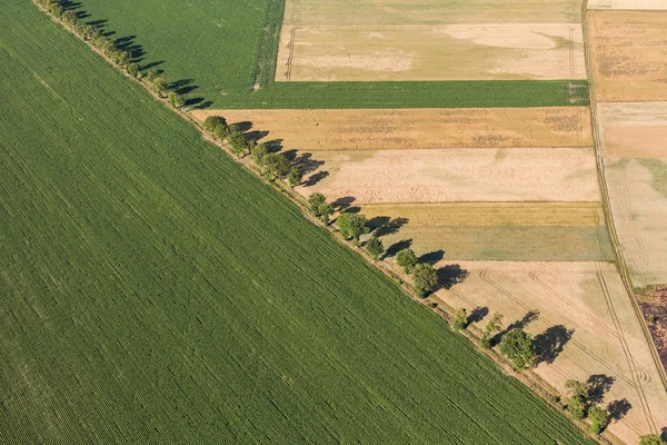 Вид с воздуха на поля для сбора урожая в деревне — стоковое фото