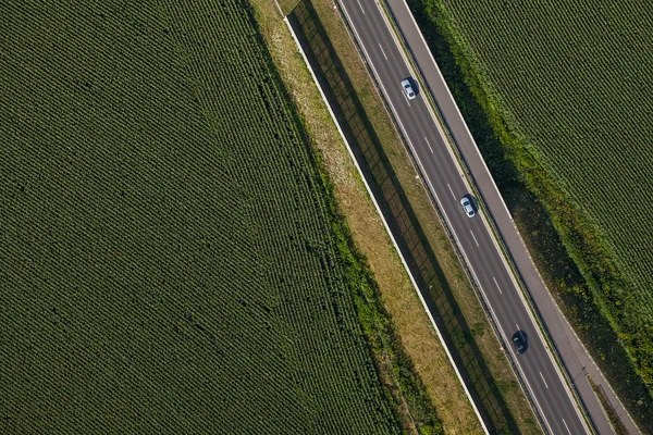 公路在夏日时光的鸟瞰图 — 图库照片