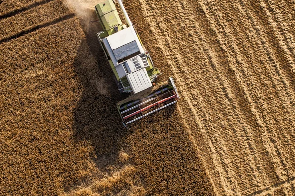 Luchtfoto van het combineren op het gebied van de oogst — Stockfoto