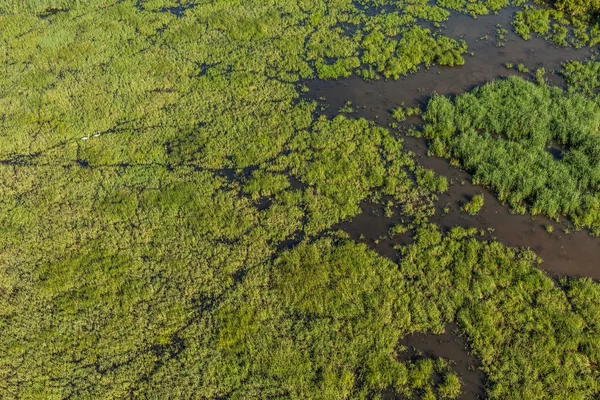 Vista aérea da zona húmida perto da cidade de Otmuchow — Fotografia de Stock