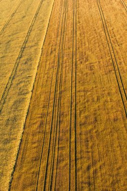 hasat alanlarının havadan görünümü