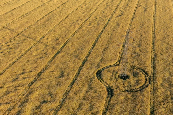 収穫の畑の航空写真 — ストック写真