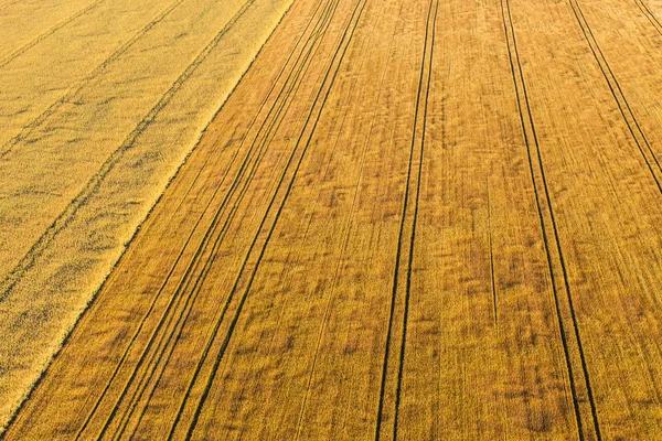 Vista aérea dos campos de colheita — Fotografia de Stock