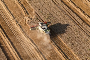 Hasat sahada çalışan birleştirme