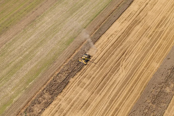 Combineren werken aan oogst veld — Stockfoto