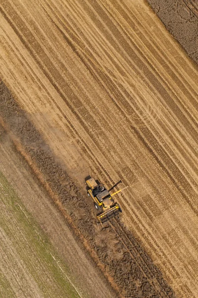 Combine working on harvest field — Stock Photo, Image