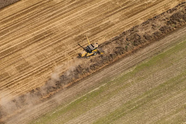 Kombinera arbetar på skörd fältet — Stockfoto