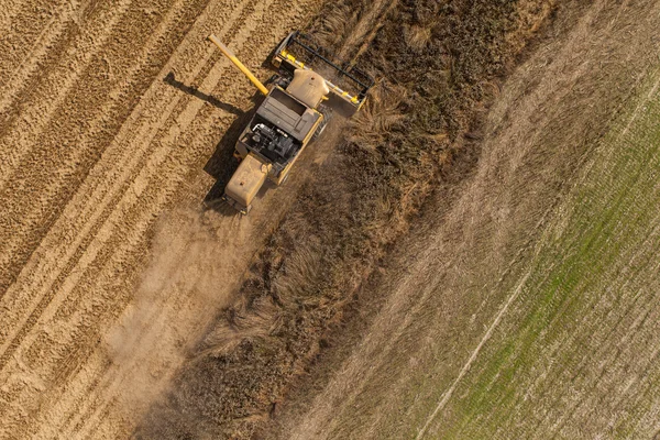 Combinar el trabajo en el campo de cosecha — Foto de Stock