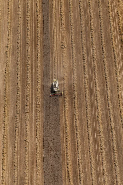 Combineren werken aan oogst veld — Stockfoto