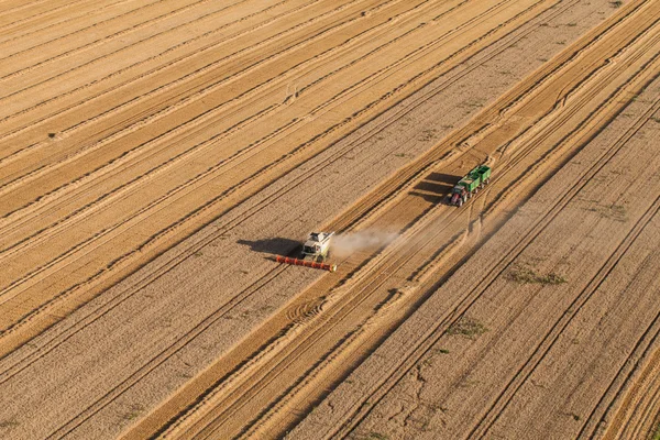 Combine working on harvest field — Stock Photo, Image