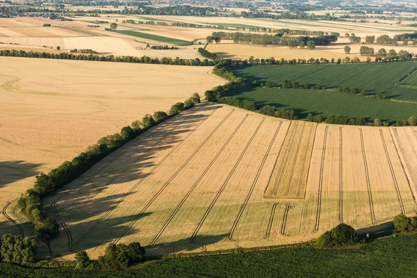 Vista aérea dos campos de colheita — Fotografia de Stock