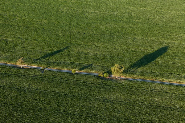 Vista aérea de los campos de cosecha —  Fotos de Stock