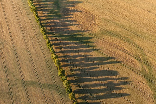 収穫の畑の航空写真 — ストック写真