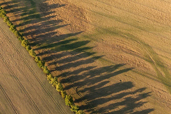 Flygfoto över skörden fält — Stockfoto