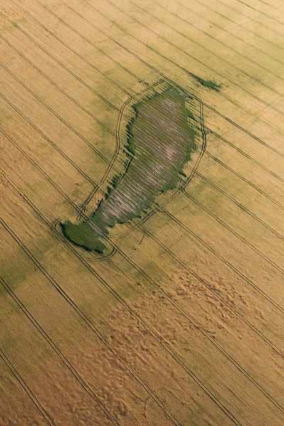 収穫の畑の航空写真 — ストック写真