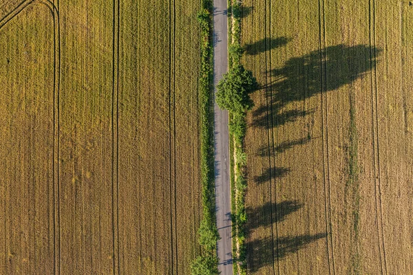 Повітряний вигляд полів збору врожаю — стокове фото