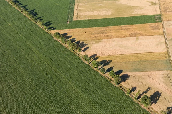 Вид с воздуха на поля сбора урожая — стоковое фото