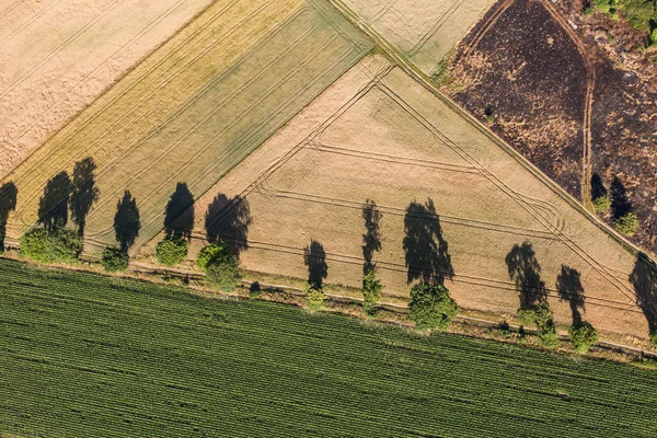 Vue aérienne des champs de récolte — Photo