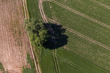 hasat alanlarının havadan görünümü
