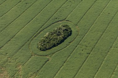hasat alanlarının havadan görünümü