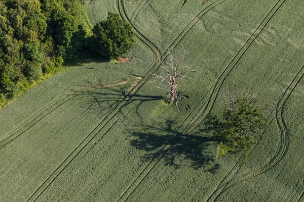 Vista aérea dos campos de colheita — Fotografia de Stock