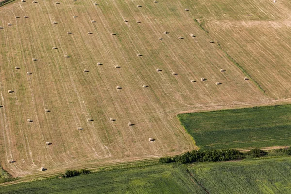 Aerial view of harvest fields — Stock Photo, Image