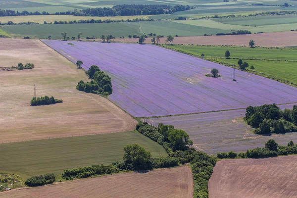 Vista aérea dos campos de colheita — Fotografia de Stock