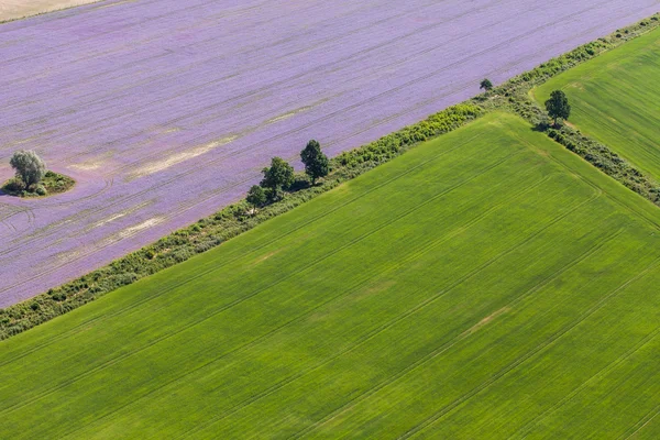 Letecký pohled na polích — Stock fotografie