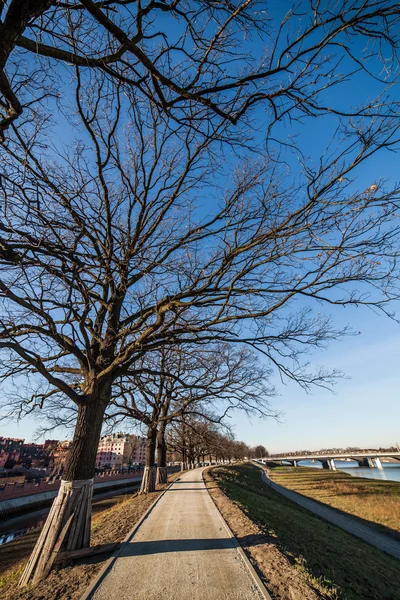 Margem do rio com árvores e céu azul — Fotografia de Stock