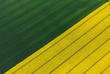 hasat alanlarının havadan görünümü 