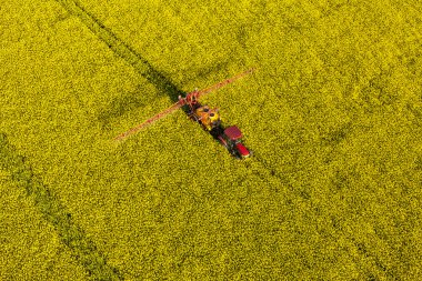 traktör ile sarı tecavüz hasat alanlarının havadan görünümü 