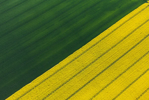 Luchtfoto van oogst velden — Stockfoto
