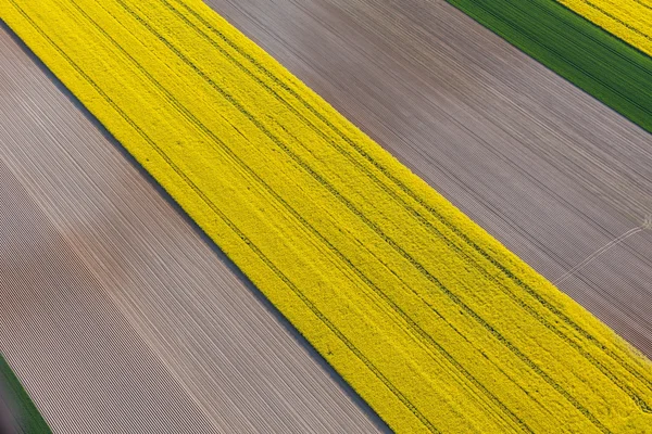 Aerial view of harvest fields — Stock Photo, Image